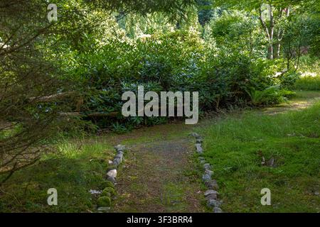 Beautiful stone border path winding through a lush green garden with dense bushes and tall trees on a sunny summer day, outdoor wild nature park Stock Photo