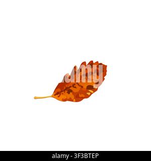 Autumn Leaf Icon Isolated, Colored Autumn Tree Leaves Symbol, Red Orange Foliage Silhouette, Fall Leaf Contour on White Background, Vector Illustratio Stock Vector