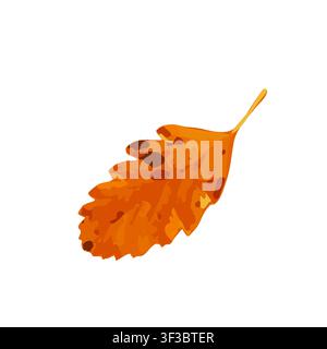 Autumn Leaf Icon Isolated, Colored Autumn Tree Leaves Symbol, Red Orange Foliage Silhouette, Fall Leaf Contour on White Background, Vector Illustratio Stock Vector