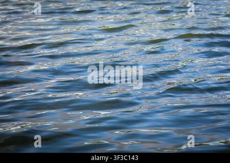 Gentle ripples travel across a blue lake under clear daylight. Soft undulating waves reflect sky and shore to create a soothing natural texture well s Stock Photo