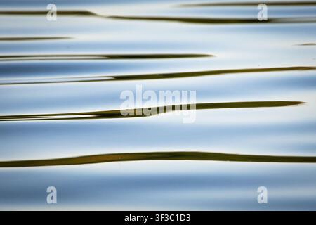 Elegant horizontal waves ripple across sunlit water creating clean lines and soft reflections. A calming abstract waterscape with harmony rhythm and s Stock Photo