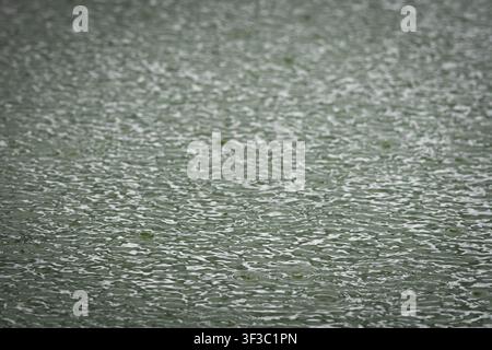 Gentle ripples spread across a green pond under muted light. The small waves catch highlights and create a repeating organic rhythm perfect for calm n Stock Photo
