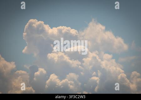 Towering cottonlike cumulus clouds gather in a warm sky forming playful shapes and soft highlights that suggest summer energy and the promise of after Stock Photo