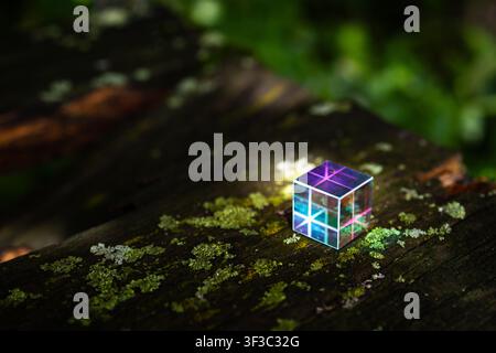 Prismatic glass cube with iridescent grid shimmers on an aged wooden board. Soft sun highlights neon hues as moss textures surround the tiny object cr Stock Photo