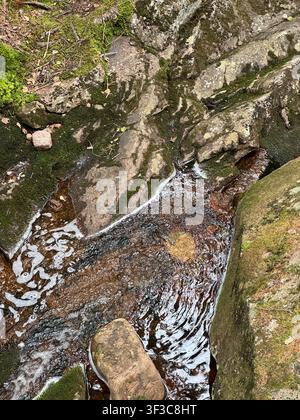 Small waterfall stream flowing through a green forest in northern Sweden during summer, surrounded by natural wilderness. Stock Photo