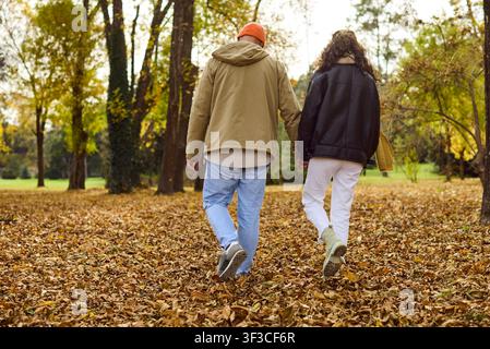 Rear view of couple walking through autumn leaves in a peaceful city park Stock Photo