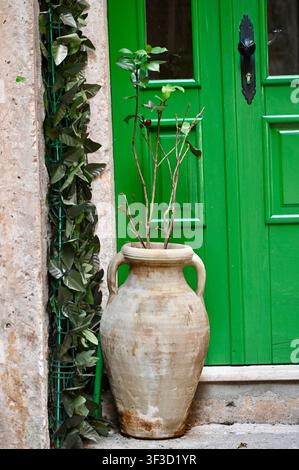 Charming European doorway decor showing an ancient terracotta vessel with slender plant branches, vibrant painted green door, and ivy wall lattice Stock Photo