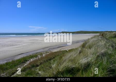The golden sandy beach and sand dunes with clear blue sky at Machir Bay Islay, Scotland UK May Stock Photo
