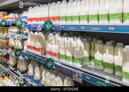 Milk bottles displayed on refrigerated supermarket shelf. London, UK, 3 March 2024 Stock Photo