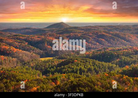 Fall Sunset Autumn treetops illuminated by golden sunset light beneath a cloudy ...