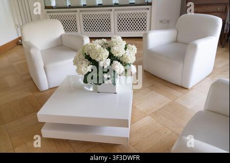 Modern white living room with armchairs, coffee table and white hydrangea flowers in bright interior Stock Photo