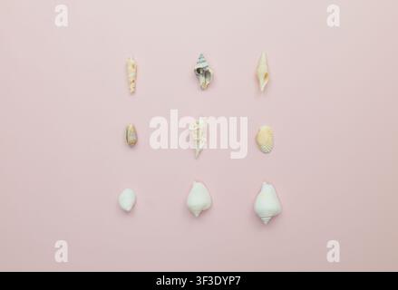 Nine assorted seashells of various shapes and sizes are meticulously arranged in a three-by-three grid on a smooth, muted pink background, offering a Stock Photo