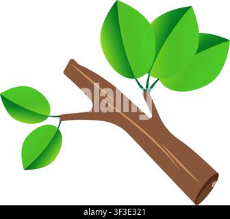 A clean illustration of a brown wooden tree branch featuring vibrant green leaves on a white background, perfect for nature and growth concepts. Stock Vector