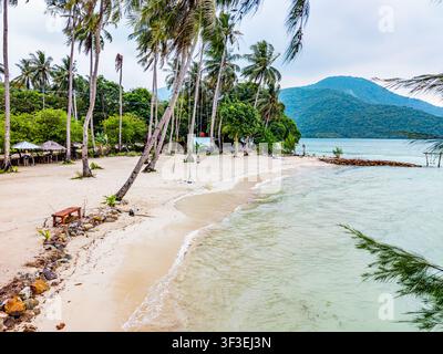 Tropical island beach landscape showcasing swaying palm trees along the sandy shore, gentle waves reaching the coast, and distant green mountains unde Stock Photo