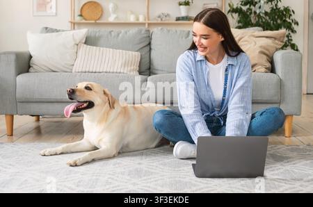 Young woman at home using laptop looking at dog Stock Photo