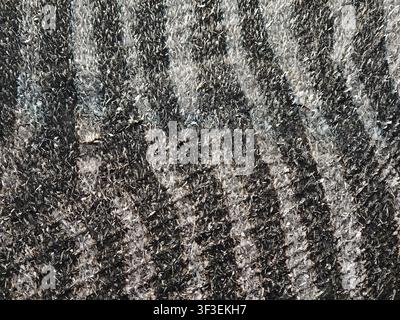 A detailed, highcontrast closeup reveals a textured surface covered in sharp, sparkling ice crystals and dark vertical patterns Stock Photo