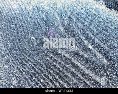 This image displays a detailed closeup of intricate frost patterns and ice crystals on a cold surface Stock Photo