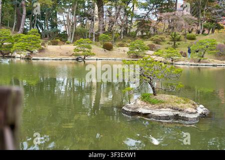 A serene Japanese garden scene featuring a tranquil pond with a small rocky island in the center, upon which grows a meticulously pruned pine tree. Stock Photo