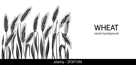 Golden wheat ear background or banner. Black silhouette cereal grain spikelet and stalk pattern for bakery bread beer packaging, label frame design. Agriculture harvest farm template Vector web banner Stock Vector