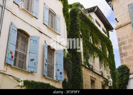 Low angle view of historic residential facades in Arles France featuring ivy vines and light blue wooden shutters under a bright sky. Stock Photo