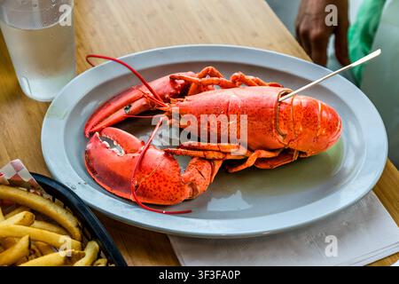 A cooked lobster with chips is served on a plate at the Halls Harbour Lobster Pound & Restaurant on West Halls Harbour Road in Halls Harbour, Nova Scotia, Canada. Guests select their own lobster from the restaurant’s own tank beforehand Stock Photo