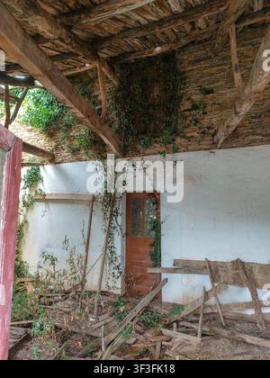 An old ruined house or schoolroom with a collapsed roof showing wooden beams stone walls covered in ivy and debris on the floor. Stock Photo