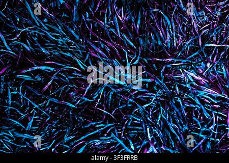 Abstract textured background of dense straw or dry grass illuminated with bright blue and purple neon light. Stock Photo