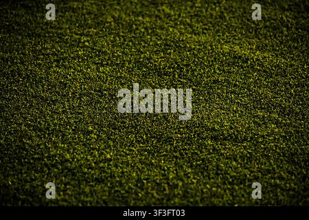 Full frame texture of dense green grass turf with a dark vignette border. Perfect for sports or nature backdrop. Stock Photo