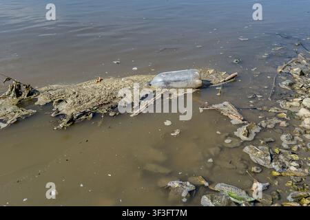 Discarded plastic bottle and debris trapped along a muddy lakeshore, highlighting freshwater pollution, environmental contamination, and the importanc Stock Photo