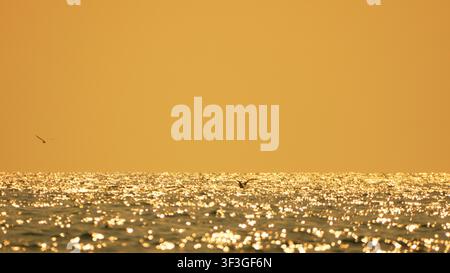 Sunset ocean glare creates dazzling golden reflections on water surface with vast copy space. Stock Photo