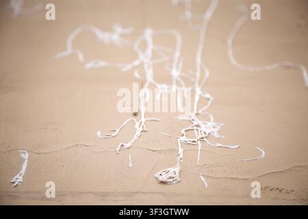 white string-like structures lying on sandy desert ground level perspective abstract and natural photography clean background copy space editorial Stock Photo