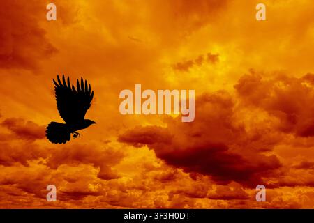 Silhouette of a large bird flying through a dramatic orange sunset sky filled with glowing clouds and atmospheric copy space Stock Photo