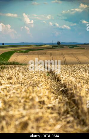 Golden harvested fields stretching toward the horizon beneath a dramatic summer sky Stock Photo