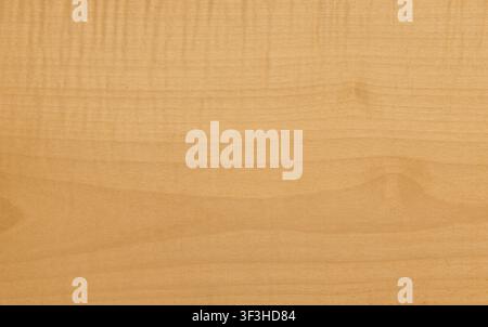 Maple wood grain light brown color Stock Photo