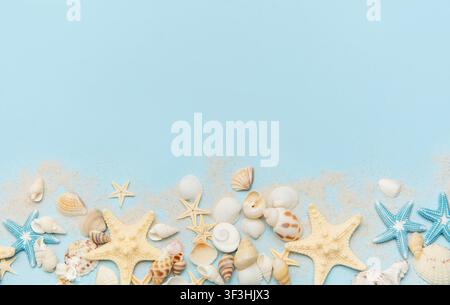 Starfish and seashells scattered on a blue sandy surface Stock Photo