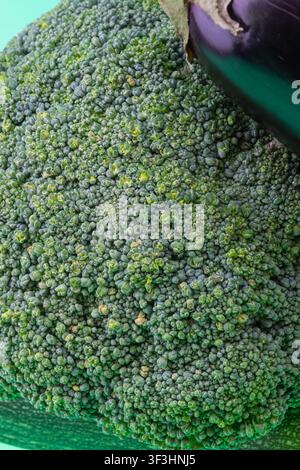 A vertical close-up shot showing the intersection of a purple eggplant and a green zucchini. The focus is on the detailed textures of the vegetable sk Stock Photo
