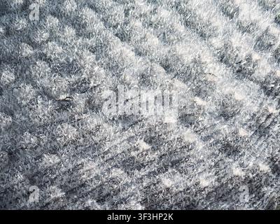 The image displays a detailed view of countless sharp, white ice crystals covering a dark surface Stock Photo
