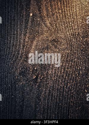 This image presents a dark, rough texture illuminated by a golden light from the top left, creating a dramatic abstract background Stock Photo