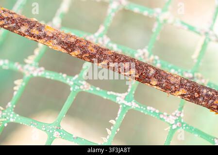Extreme close up of a highly rusted metal rod resting on a green plastic mesh Stock Photo