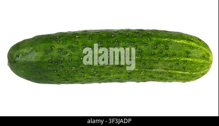 Cucumber isolated on white background Stock Photo