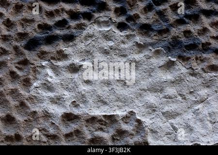 A close-up view of a rough, weathered stone surface with uneven pits and light gray mineral tones. The abstract texture fills the frame and can be use Stock Photo