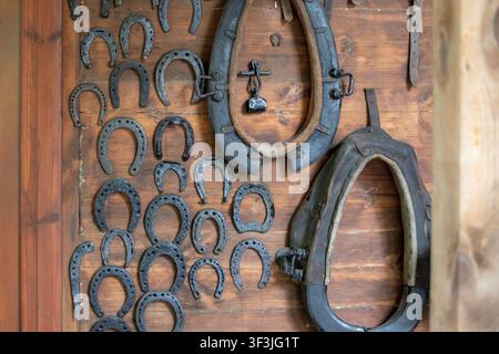 Collection of old iron horseshoes and leather horse collars hanging on a wooden wall. Stock Photo