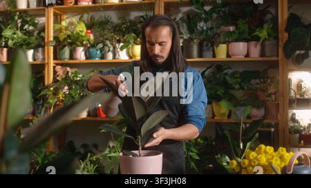 Busy young professional caucasian male florist spraying plants with water wiping. Attractive focused adult man working at florist shop taking care of Stock Photo