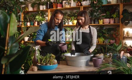Portrait of two young successful modern florists taking care of plants adding fertilizers to soil at flower shop. Cute youthful woman and handsome Stock Photo