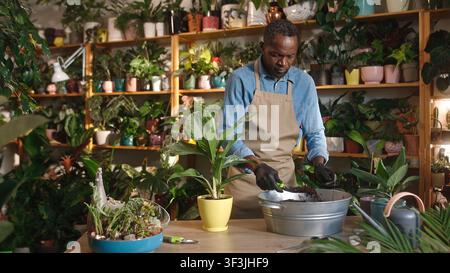 Young adult African-American man mixing soil and fertilizers taking care of plants at flower shop. Beautiful focused professional male florist working Stock Photo