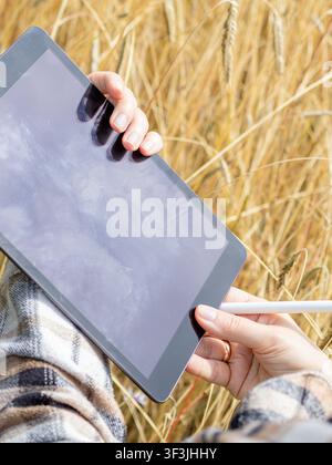 Close up of a digital tablet and stylus held above a ripe wheat field during an agricultural inspection on a summer day. Concept of precision agricult Stock Photo