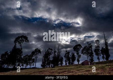 Silhouetted eucalyptus trees and a small red farmhouse stand against a turbulent sky of dark storm clouds breaking open to reveal patches of blue ligh Stock Photo