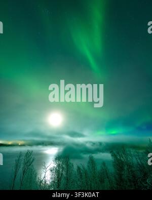 View of the aurora borealis illuminating the night sky above a misty landscape with trees and a bright moon reflecting on the water in Tromso, Troms, Stock Photo