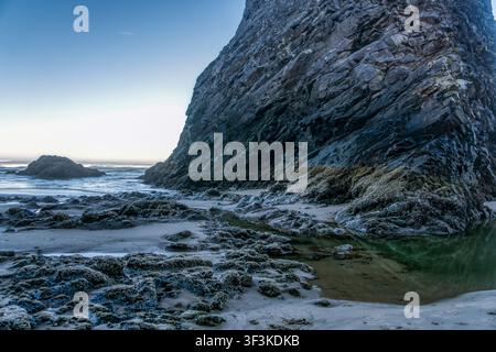 Massive rock looms over wet, tide-swept shoreline. Moss and seaweed cling to its rugged base. Soft light paints the scene with calm, cool tones. Shall Stock Photo