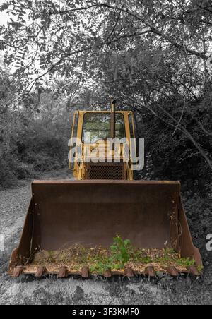 A yellow bulldozer stands idle on a dirt path, partially reclaimed by surrounding vegetation, with dense early‑autumn foliage framing the scene. Stock Photo